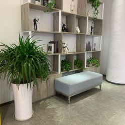 -A梦造型