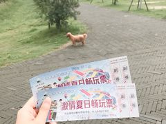 -扬州天乐湖嬉乐谷