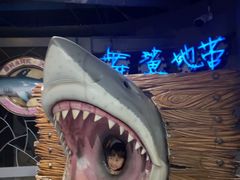 -大连圣亚海洋世界