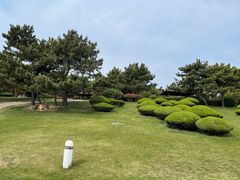 -日照灯塔风景区