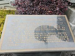 -子昂故里文化旅游区