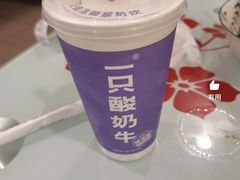 -一只酸奶牛(春熙路店)