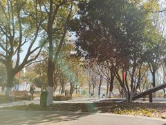 -宁波儿童公园(鄞州区)