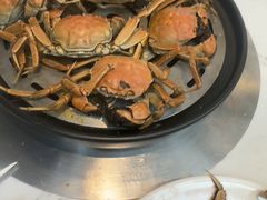 -半岛听涛蒸汽海鲜自助(K11店)