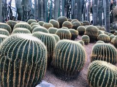 -南山植物园