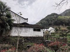 -石台牯牛降景区