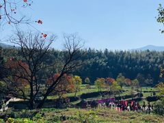 -塔川景区