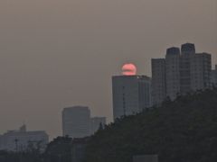 -二沙岛艺术公园
