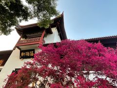 -黄鹤楼