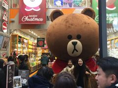 -line friends(明洞旗舰店)