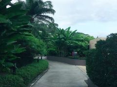 -普吉岛凯悦酒店