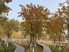 -坝河休闲公园