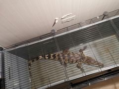 -平行世界·猫咖(首经贸店)