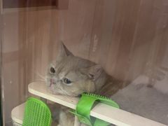 -山之尖健身