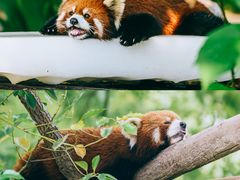 -常州淹城野生动物世界