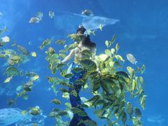 -太平洋海底世界