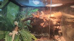 -酷嗒动物文化乐园(cutezoo西溪乐天城店)