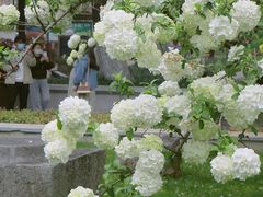 -明故宫遗址公园