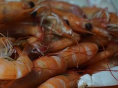 -海大大蒸汽海鲜餐厅·粤菜·特色小炒(欢乐颂店)