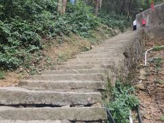 -灵顺寺