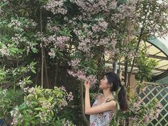 -华南国家植物园-售票处