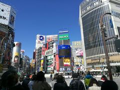 -涩谷区