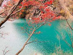 -叠溪松坪沟景区