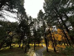 -国家植物园南园