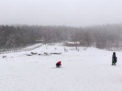 -武陵山森林公园