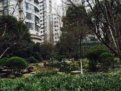 -新湖明珠城