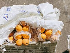-菜园坝水果市场