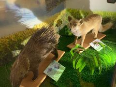 -下渚湖国家湿地公园科普馆