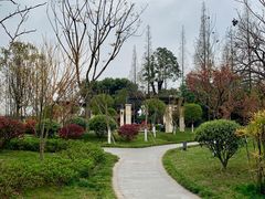 -成飞公园