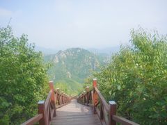 -大岭沟猕猴桃谷风景区