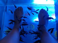 -汤连得温泉馆(宝山店)