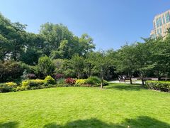 -徐家汇源景区-衡山公园