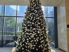 -上海龙之梦万丽酒店