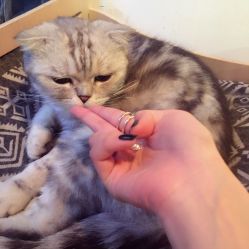 -PinkBaby美甲美睫