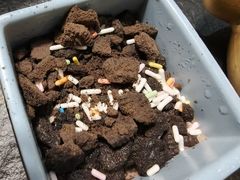 -盛江山自助料理(奥莱锦辉购物广场店)