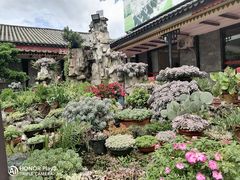 -山菌美食苑(振兴路店)