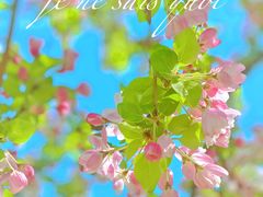 -海棠花溪(元大都城垣遗址公园)