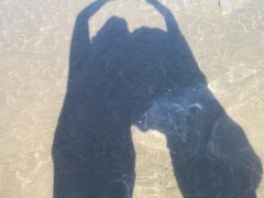 -浪琴湾度假村