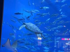 -成都浩海立方海洋公园