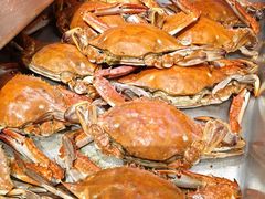 -日丰园海肠水饺·老字号大连海鲜(和平广场店)
