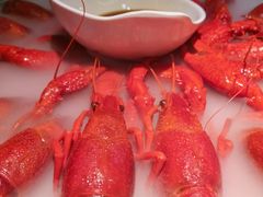 -红盔甲·小龙虾(天钥桥店)