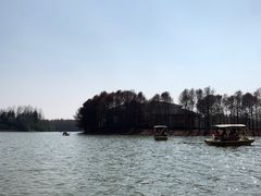 -上海海湾国家森林公园