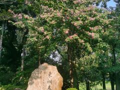 -东山湖公园