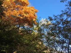 -叠溪松坪沟景区