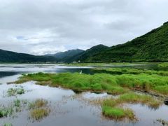 -腾冲北海湿地