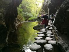 -牛背梁国家森林公园